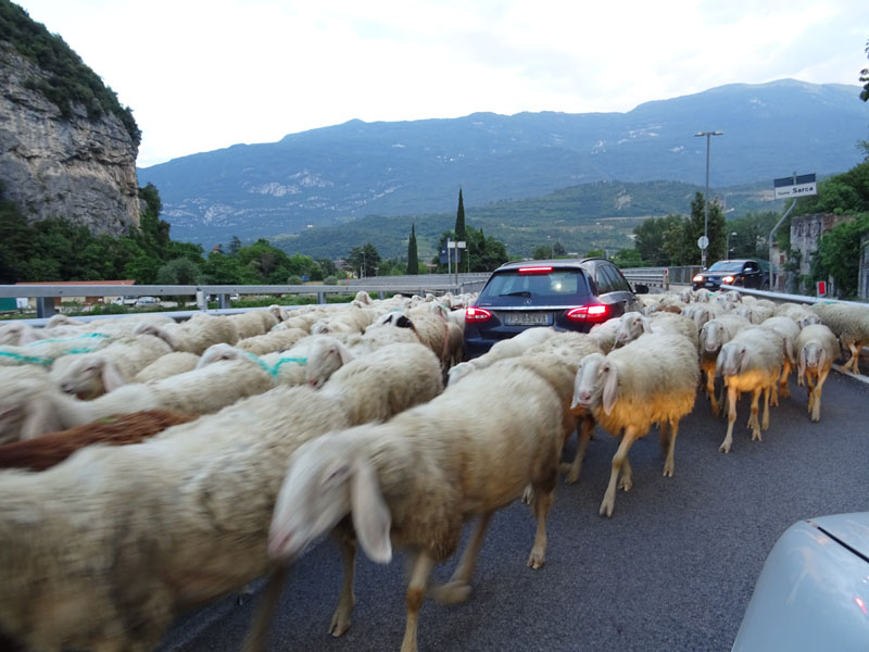 XII Apostoli........Gruppo di Brenta